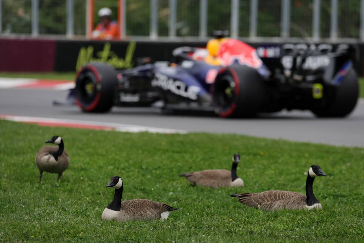Mercedes domina classificação no Canadá com 1-2; Russell supera Antonelli pela pole